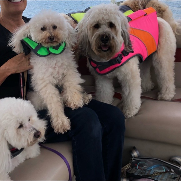 Canada Pooch Other - Dog Canadian Pooch Life jacket